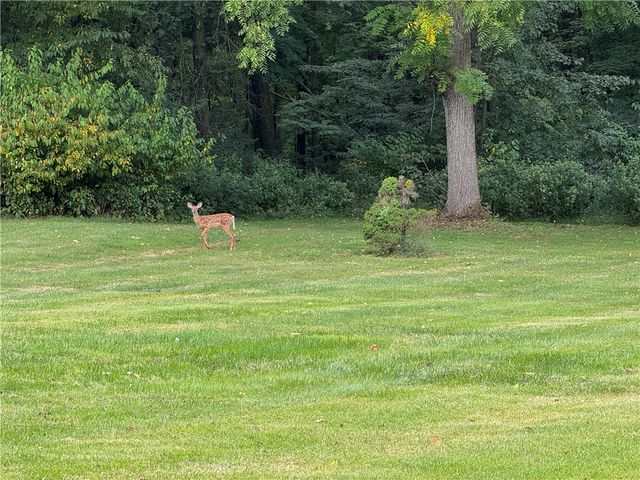 1810 Tony St, Shenango Twp, PA 16101