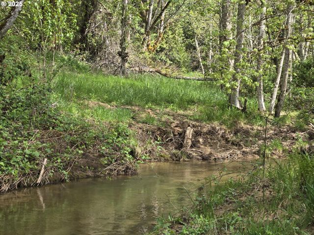 2262 LOUIS CREEK Rd, Myrtle Creek, OR 97457