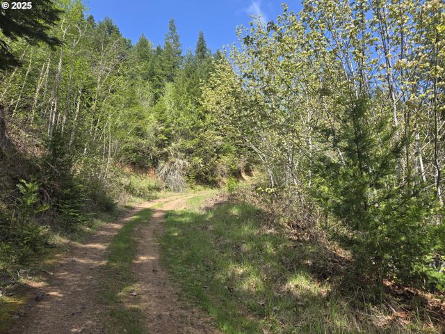 2262 LOUIS CREEK Rd, Myrtle Creek, OR 97457