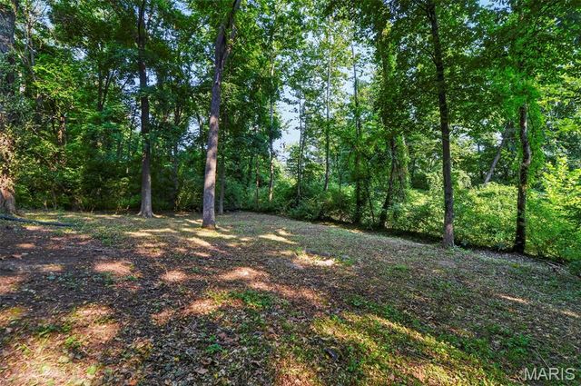 11 Cadillac Court, Lake St Louis, MO 63367