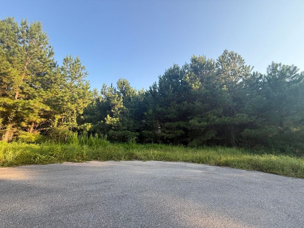 359 Cedar Grove Church Rd, Johnsonville, SC 29555 — photo 2