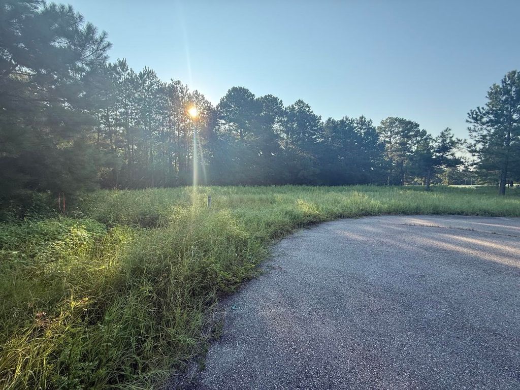 359 Cedar Grove Church Rd, Johnsonville, SC 29555 — photo 5
