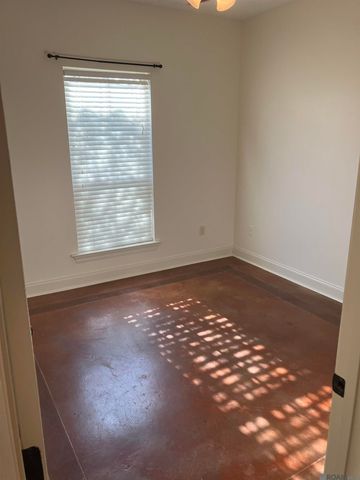 14487 Lake Meadows Ct, Gonzales, LA 70737