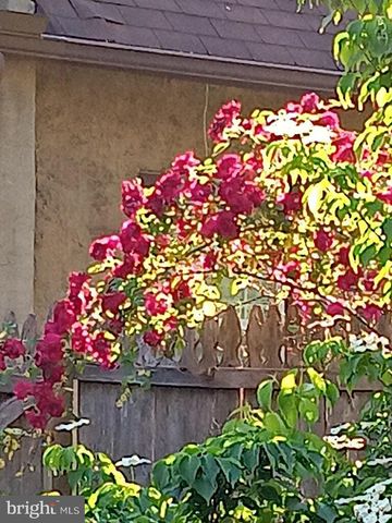 1642 LOCUST ST, Norristown, PA 19401