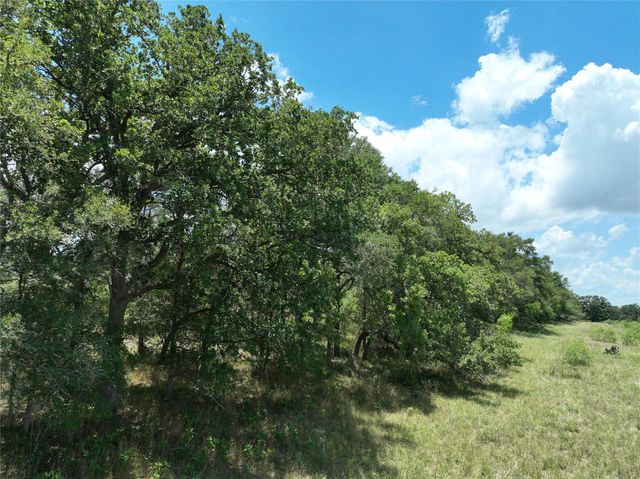 TBD Lot 4 Pettytown RD, Dale, TX 78616