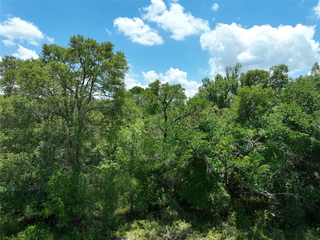 TBD Lot 4 Pettytown RD, Dale, TX 78616