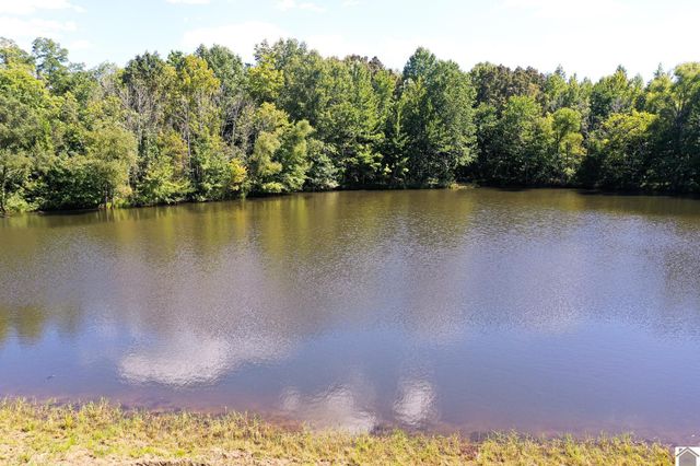 75 William Curnel Rd, Marion, KY 42064