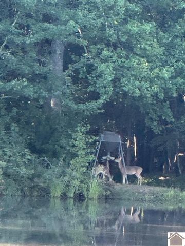 75 William Curnel Rd, Marion, KY 42064