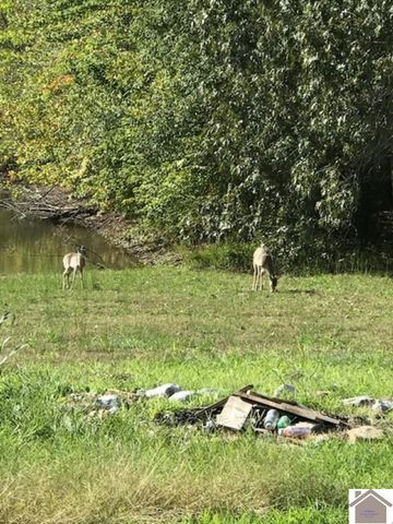 75 William Curnel Rd, Marion, KY 42064