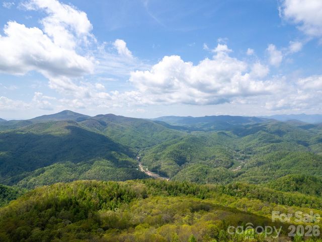 107 Fawns Rest None, Black Mountain, NC 28711