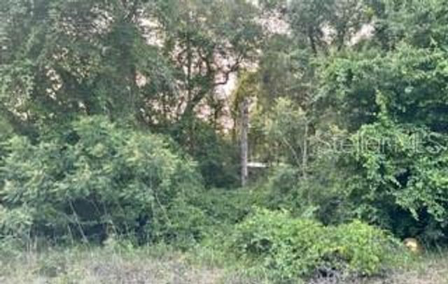 SE 11TH STREET, Silver Springs, FL 34488