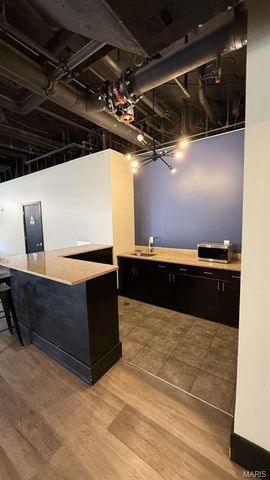 210 N 17th Street 907, St Louis, MO 63103