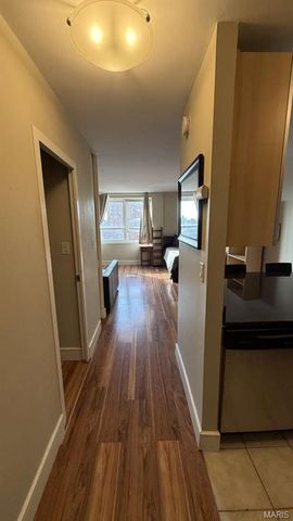 210 N 17th Street 907, St Louis, MO 63103