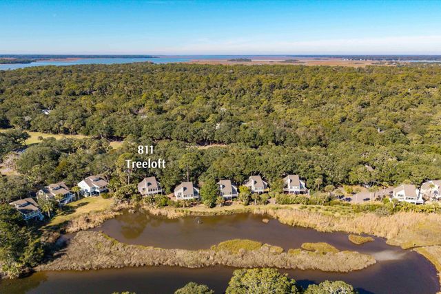 811 Treeloft Trace, Seabrook Island, SC 29455