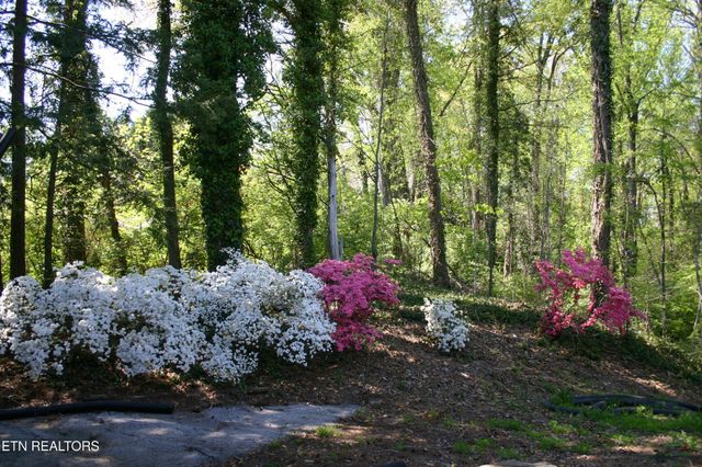 8129 Ainsworth Drive, Knoxville, TN 37909
