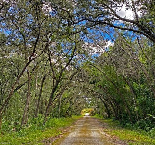 35084 Batesfield ST, Webster, FL 33597