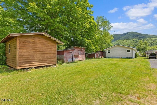 115 Alexander Street, Hampton, TN 37658