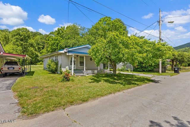 115 Alexander Street, Hampton, TN 37658