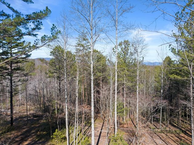 3382 Lickskillet Road, Epworth, GA 30541