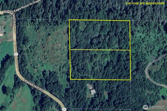 48 XX Reese Hill Road, Sumas, WA 98295