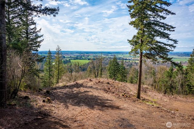 48 XX Reese Hill Road, Sumas, WA 98295