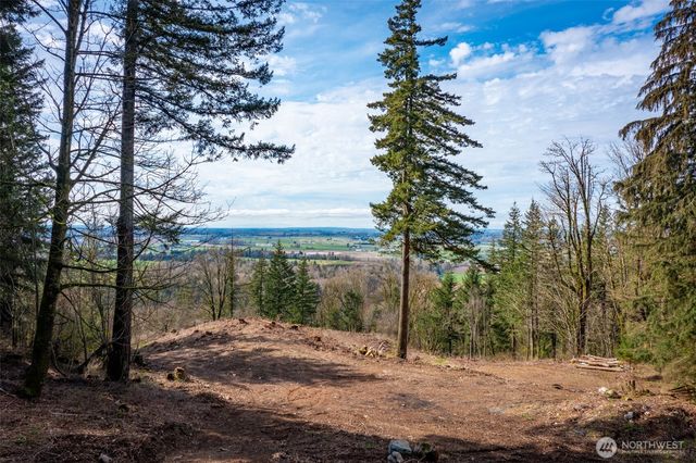 48 XX Reese Hill Road, Sumas, WA 98295