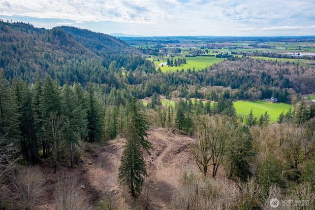 48 XX Reese Hill Road, Sumas, WA 98295