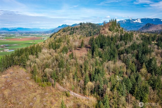 48 XX Reese Hill Road, Sumas, WA 98295