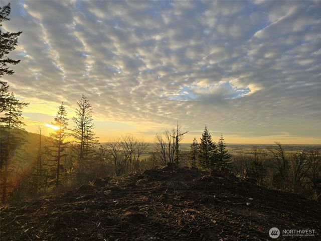 48 XX Reese Hill Road, Sumas, WA 98295