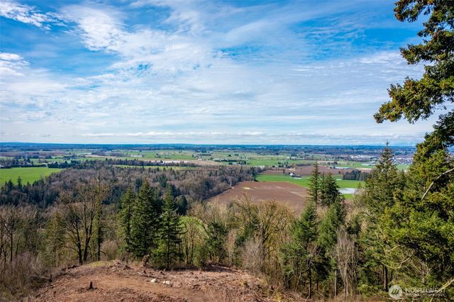 48 XX Reese Hill Road, Sumas, WA 98295