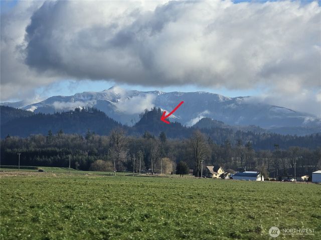 48 XX Reese Hill Road, Sumas, WA 98295
