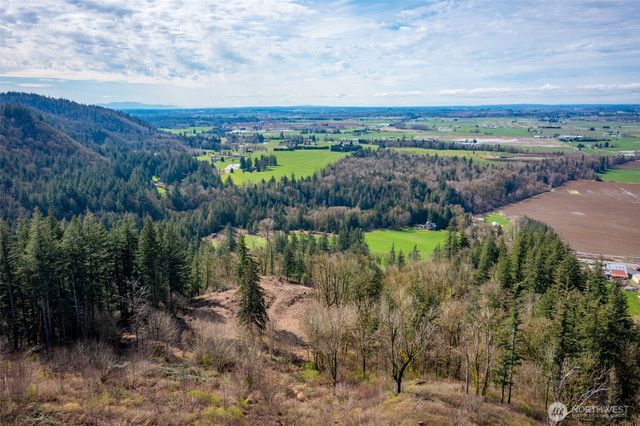 48 XX Reese Hill Road, Sumas, WA 98295