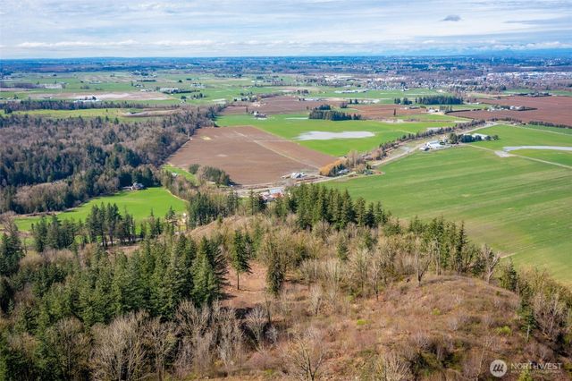 48 XX Reese Hill Road, Sumas, WA 98295