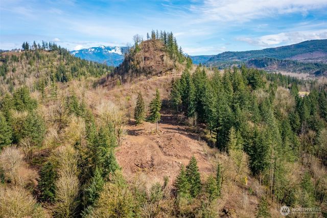 48 XX Reese Hill Road, Sumas, WA 98295