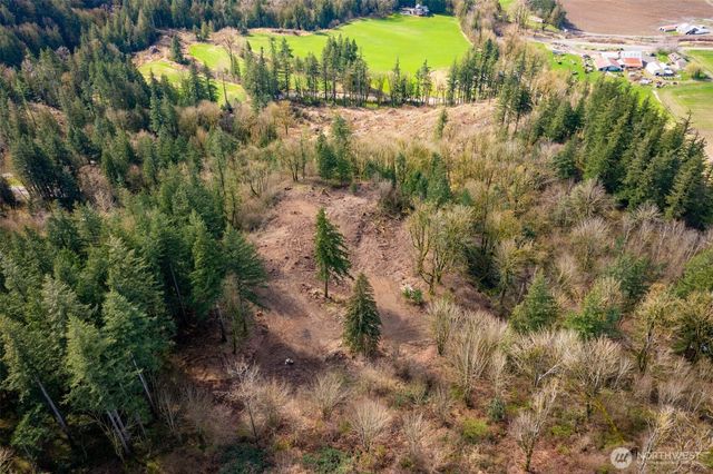 48 XX Reese Hill Road, Sumas, WA 98295