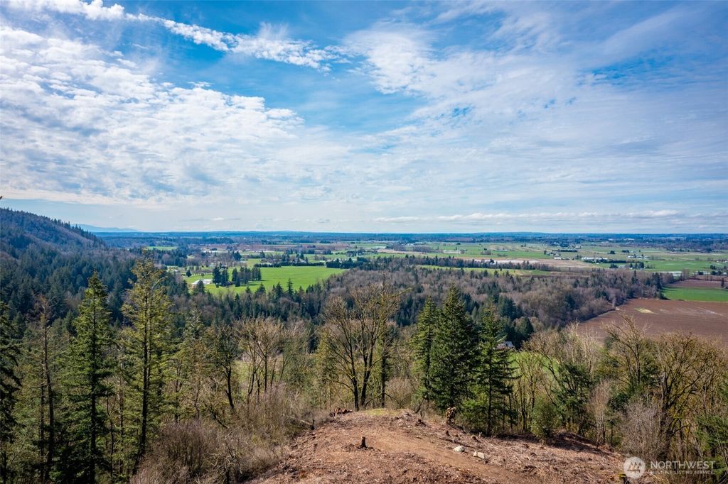 48 XX Reese Hill Road, Sumas, WA 98295