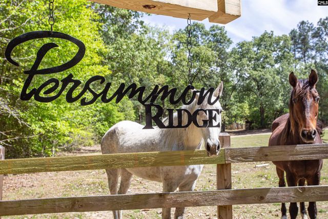 146 Williams Road, Camden, SC 29020