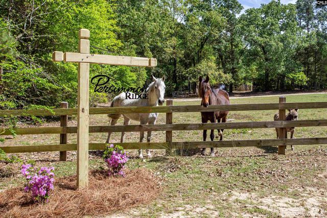 146 Williams Road, Camden, SC 29020