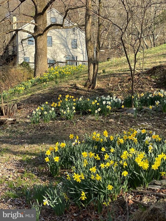 236 PIEDMONT ORCHARD RD, Linden, VA 22642