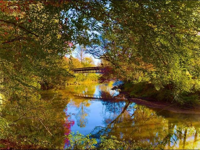 1045 Bear Paw Ridge, Dahlonega, GA 30533