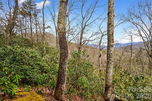 169 Hilltop Road, Black Mountain, NC 28711