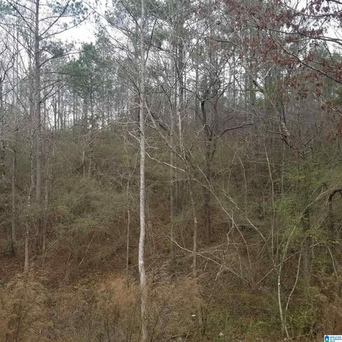 635 DEERBROOK ROAD, Pell City, AL 35125