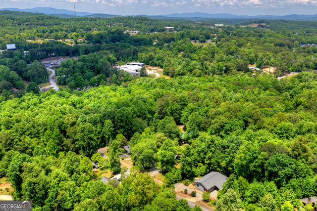 67 High Point Trail, Blue Ridge, GA 30513