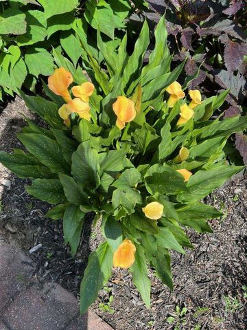 1754 W Loveland Avenue, Loveland, OH 45140