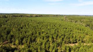0 Us Highway 190 E, Livingston, TX 77351