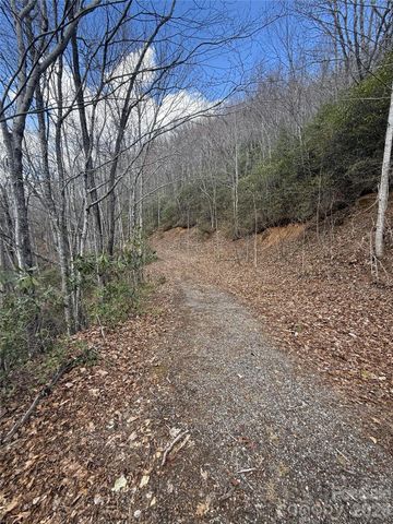 81 Boarding House Way 92, Sylva, NC 28779