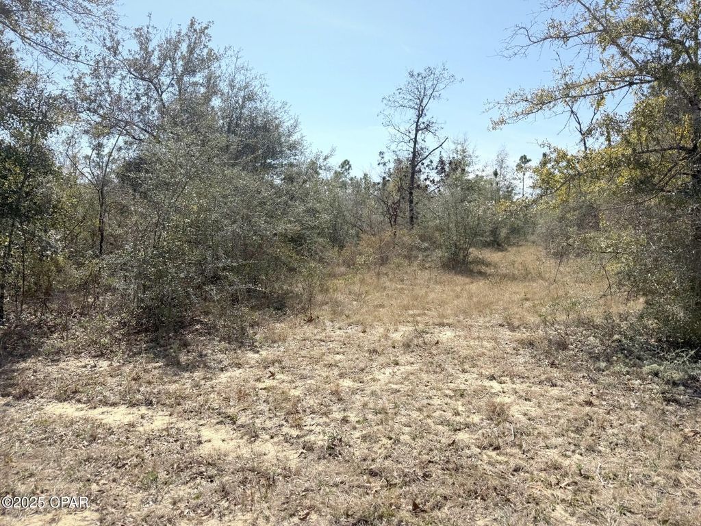 Lot 21 Valiant Drive, Chipley, FL 32428