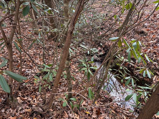 366 Gander Gap Road, Hiawassee, GA 30546