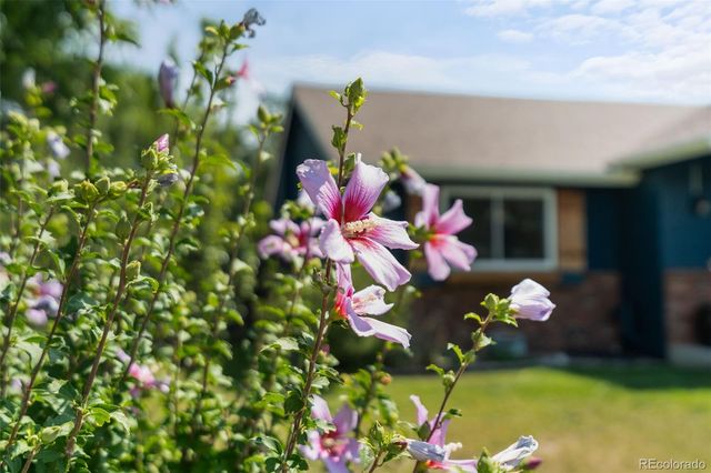 1142 S Edinburgh Drive, Loveland, CO 80537