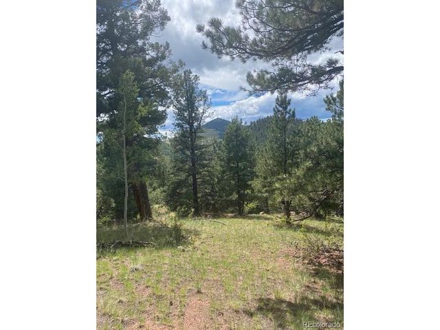 216 Troy Dr, Cripple Creek, CO 80813